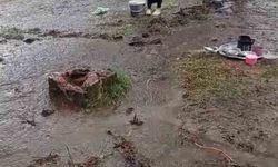 Samsun'a giden fındık işçilerini yağmur vurdu