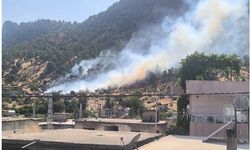 Siirt'te orman yangını büyümeden kontrol altına alındı