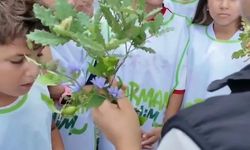 Sinop'ta minik sporculara orman sevgisi aşılandı