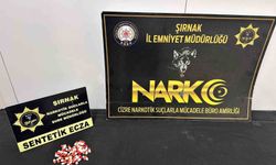 Şırnak'ta asayiş ve narkotik operasyonları düzenlendi