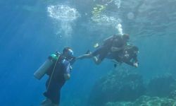 Su altının renkli dünyası, Marmaris'e dalış turizmiyle hayat veriyor