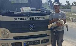 Yaralı leylek koruma altına alındı