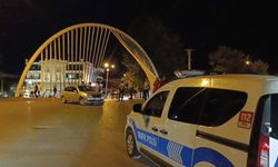 Yolun karşısına geçmek isterken feci şekilde can verdi!