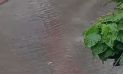 Nenfezleri temizlemek çok mu zor?