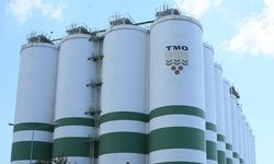 Fındık üreticisinin beklediği gün geldi: TMO kapılarını açıyor