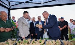 Serdivan İncir Festivali Bugün de İlgi Odağı Olacak