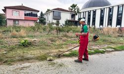 Serdivan’da Çevre Düzenleme Çalışmaları Sürüyor