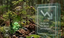 İklim Hızlanıyor, Doğa Yavaşlıyor!