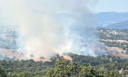 GÜNCELLEME - Bursa'da çıkan orman yangını kontrol altına alındı