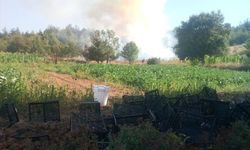 GÜNCELLEME - Bursa'da orman dışı alanda çıkan yangın kontrol altına alındı