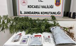 Kocaeli'de uyuşturucu operasyonunda 1 kilogram esrar ele geçirildi