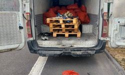 Sakarya'da belgesiz taşınan 2,2 ton midye ile 156 küçükbaş hayvana el konuldu