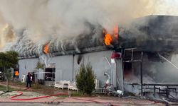 Sakarya'da restoranda çıkan yangın söndürüldü