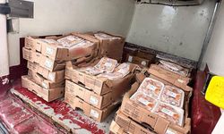 Sakarya'da tarihi geçmiş 140 kilogram tavuk eti imha edildi