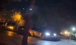 Bolu'da yola çıkan köpekler zincirleme kazaya neden oldu