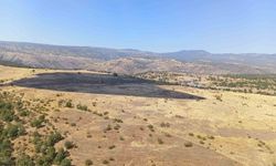 Bolu'daki orman yangını kontrol altına alındı