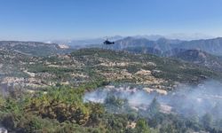 Burdur'da orman yangını kontrol altına alındı