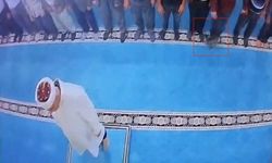 Camide kediyi tekmeleyen şahıs gözaltında, hayvan severler kediyi arıyor
