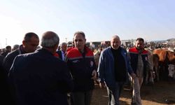 Kars Hayvan Pazarı'nda sıkı denetim: Hayvan hareketliliğine sağlık ve güvenlik filtresi