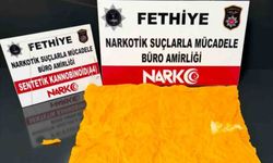 Muğla'da uyuşturucu operasyonları: 310 gözaltı, 48 tutuklama