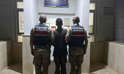 Şanlıurfa'da jandarmadan göçmen kaçakçılığı operasyonu: 20 gözaltı