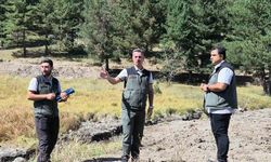 Sarıkamış Şehitleri Orman Parkı'nda yeni dönem: Doğayla iç içe yeşil alan etkinlik alanı için çalışmalar değerlendirildi