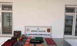 Şırnak'ta jandarmadan kaçakçılık operasyonu