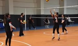 Siverek Belediyespor'un ardından kadın voleybol takımı da ligden çekildi