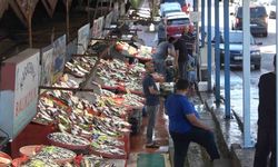 Yalova Balık Hali'nde fiyatlar düşüşe geçti