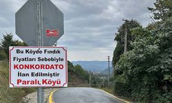 Fındık fiyatlarına ironik tepki: Paralı Köyü "Konkordato" ilan etti