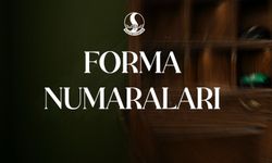 Sakaryaspor'da yeni sezon numaraları netleşti!
