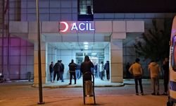 Sapanca’da Aile Faciası: 16 Yaşındaki Çocuk Annesini Öldürdü, Kuzenini Yaraladı