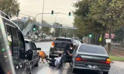 Erenler’de Sabah Koşusu Yapan Vatandaşa Köpek Saldırısı: 1 Yaralı