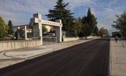 Hendek’in tam kalbindeki en önemli güzergahlar tablo gibi işleniyor