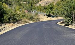 Taraklı Tuzla Mahallesi Yolu Asfaltlandı