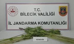 Bilecik'te uyuşturucu operasyonunda bir şüpheli yakalandı