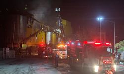 GÜNCELLEME - Balıkesir'in Bandırma ilçesinde yağ fabrikasında çıkan yangın kontrol altına alındı