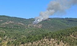 GÜNCELLEME - Bursa'da çıkan orman yangını kontrol altına alındı
