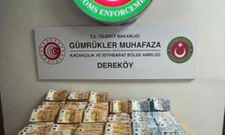 Kırklareli'nde döviz kaçakçılığı operasyonunda 1 şüpheli gözaltına alındı