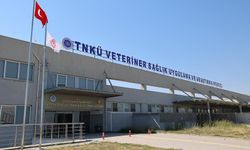 NKÜ Hayvan Hastanesi Trakya'da yetiştiricilere hizmet sunuyor