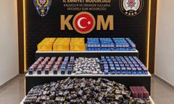 Sakarya'da kaçakçılık opearasyonunda 1 şüpheli gözaltına alındı