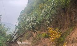 Sakarya'da sağanak hayatı olumsuz etkiledi