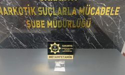 Sakarya'da 'Sokaklar Güvende' operasyonunda 2 zanlı tutuklandı
