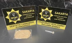 Sakarya'da 'Sokaklar Güvende' operasyonunda yakalanan 1 zanlı tutuklandı