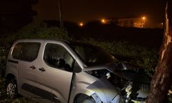 Yalova'da hafif ticari aracın ağaca çarpması sonucu bir kişi yaralandı