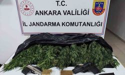 Ankara'da uyuşturucu operasyonu: 1 gözaltı