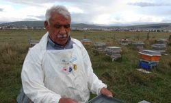 Arılı kovanların ilkbahara sağlıklı çıkması için varroa mücadelesi büyük önem taşıyor