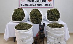 İzmir'de uyuşturucu operasyonu: 54 kilo 800 gram esrar ele geçirildi, 3 kişi tutuklandı