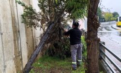 Kartal Belediyesi ekipleri şiddetli yağış ve fırtınaya karşı sahada