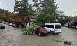 Kastamonu'da fırtına çatıları uçurdu, ağaçları devirdi